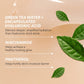 innisfree Green Tea Seed Hyaluronic Serum