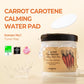 SKINFOOD Carrot Carotene Calming Water Pad 250g (8.81 oz.) 60 Sheets